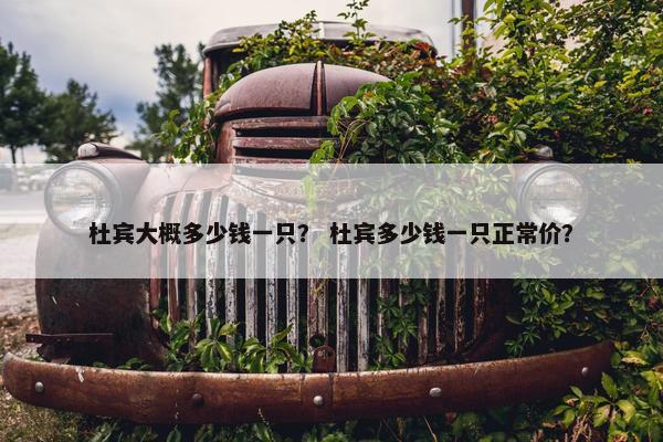 杜宾大概多少钱一只？ 杜宾多少钱一只正常价？