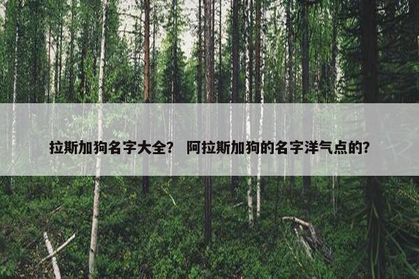 拉斯加狗名字大全？ 阿拉斯加狗的名字洋气点的？