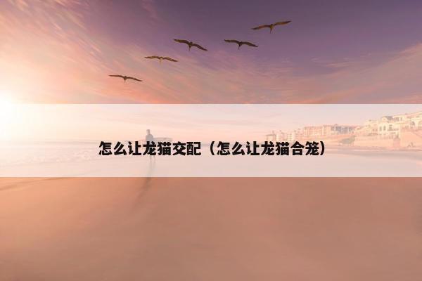 怎么让龙猫交配（怎么让龙猫合笼）