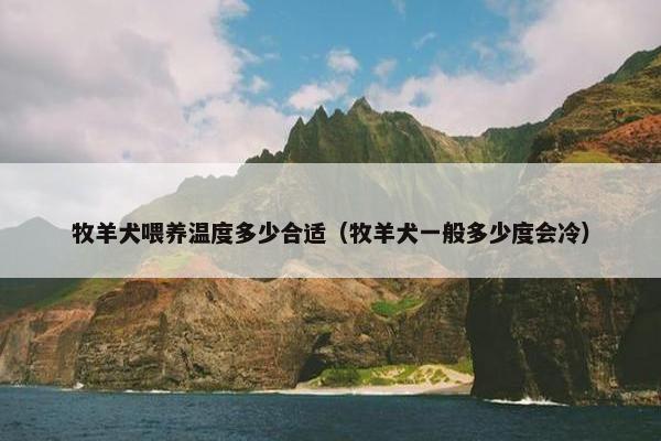 牧羊犬喂养温度多少合适（牧羊犬一般多少度会冷）