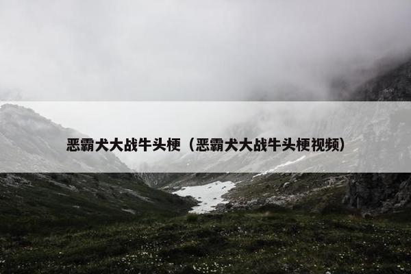 美国 第9页