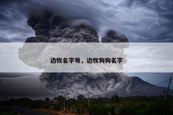 边牧名字母，边牧狗狗名字