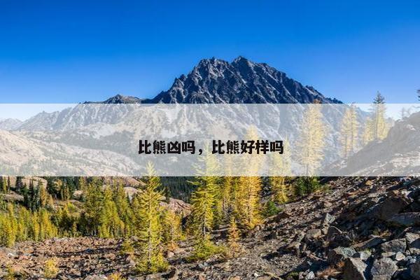 比熊凶吗，比熊好样吗