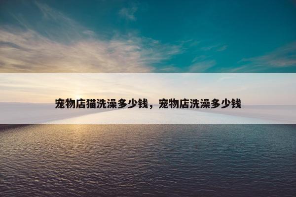 宠物店猫洗澡多少钱，宠物店洗澡多少钱