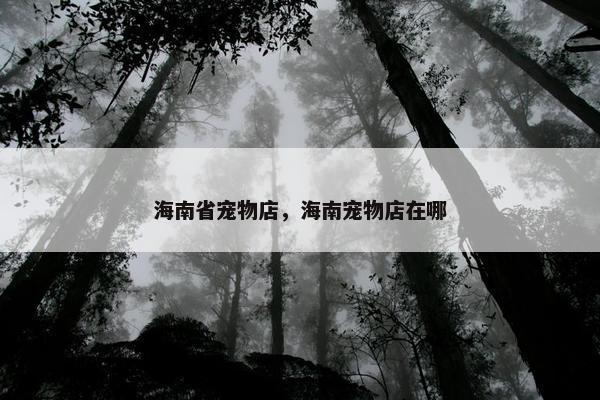 海口市