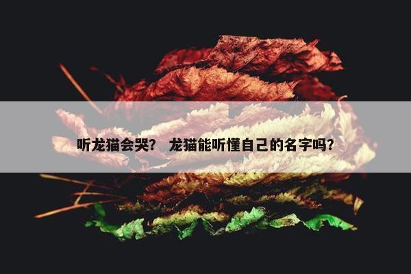 听龙猫会哭？ 龙猫能听懂自己的名字吗？