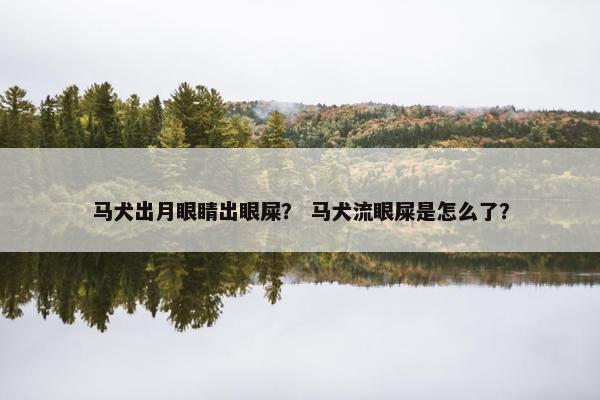 马犬出月眼睛出眼屎？ 马犬流眼屎是怎么了？