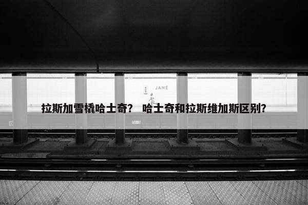 拉斯加雪橇哈士奇？ 哈士奇和拉斯维加斯区别？
