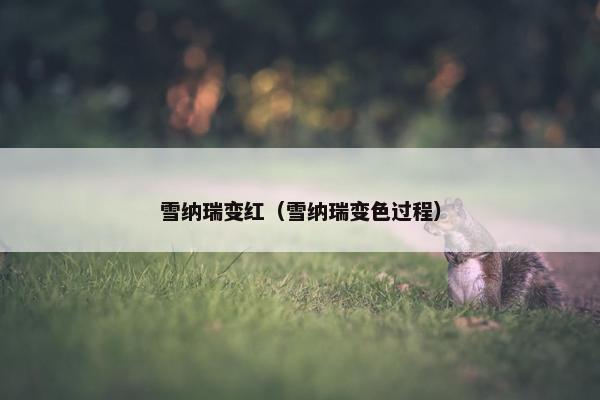就是