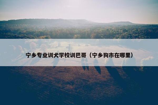 宁乡专业训犬学校训巴哥（宁乡狗市在哪里）