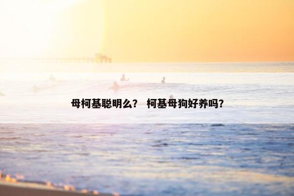 母柯基聪明么？ 柯基母狗好养吗？
