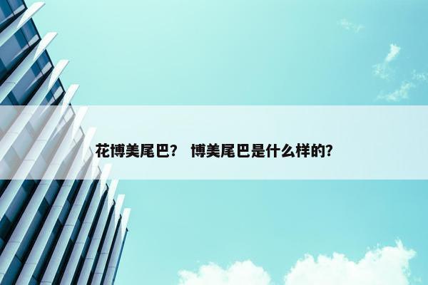 背上