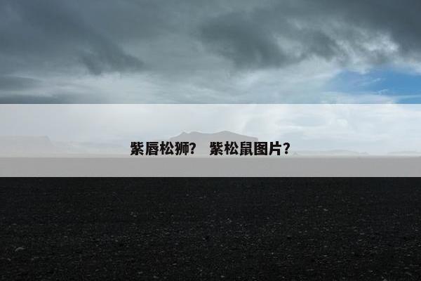 紫唇松狮？ 紫松鼠图片？
