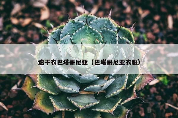 速干衣巴塔哥尼亚（巴塔哥尼亚衣服）