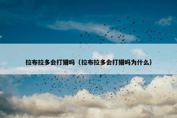拉布拉多会打猎吗（拉布拉多会打猎吗为什么）