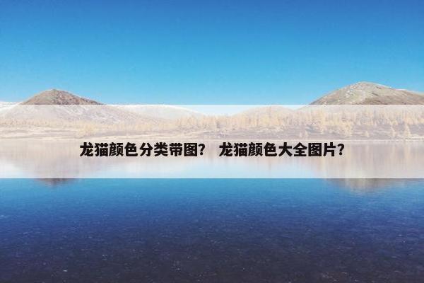 龙猫 第32页
