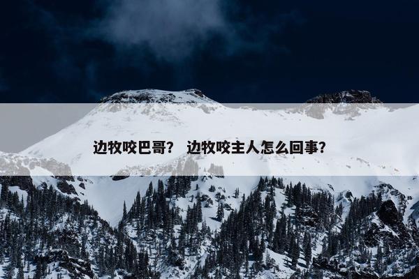 边牧咬巴哥？ 边牧咬主人怎么回事？