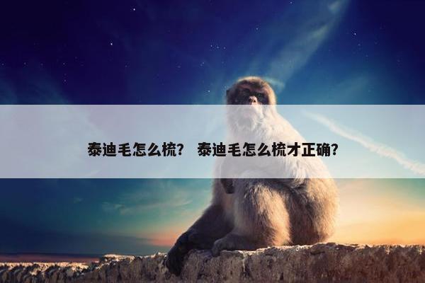 泰迪毛怎么梳？ 泰迪毛怎么梳才正确？