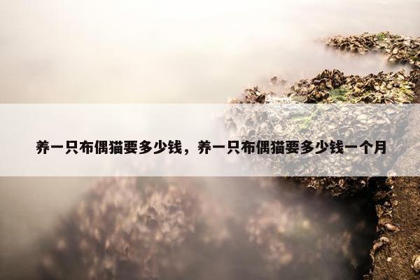 养一只布偶猫要多少钱，养一只布偶猫要多少钱一个月