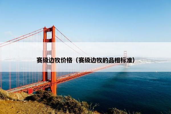赛级边牧价格（赛级边牧的品相标准）
