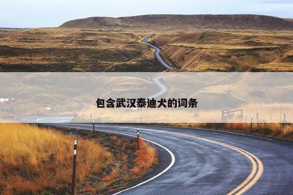 包含武汉泰迪犬的词条