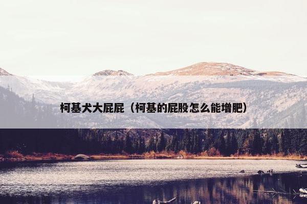 屁股