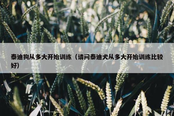 开始 第2页