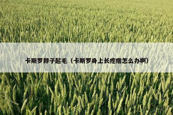 卡斯罗脖子起毛（卡斯罗身上长疙瘩怎么办啊）