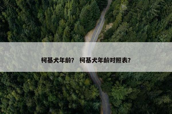 柯基犬年龄？ 柯基犬年龄对照表？