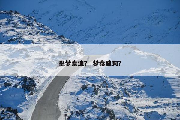 噩梦泰迪？ 梦泰迪狗？
