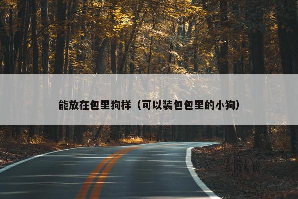 能放在包里狗样（可以装包包里的小狗）
