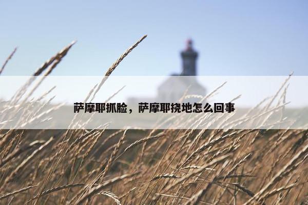 持续
