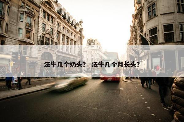 法牛 第10页