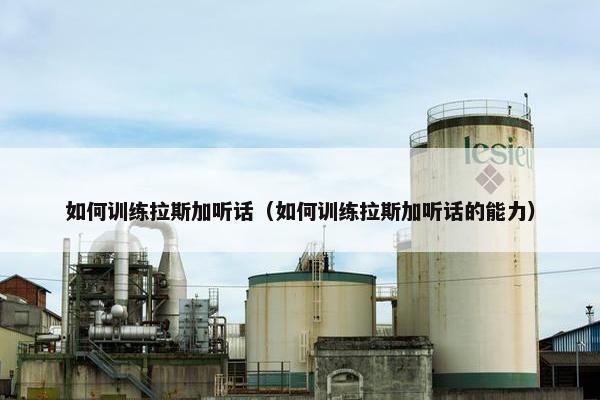 如何训练拉斯加听话（如何训练拉斯加听话的能力）