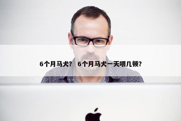 6个月马犬？ 6个月马犬一天喂几顿？