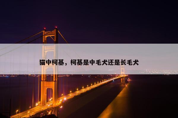 猫中柯基，柯基是中毛犬还是长毛犬