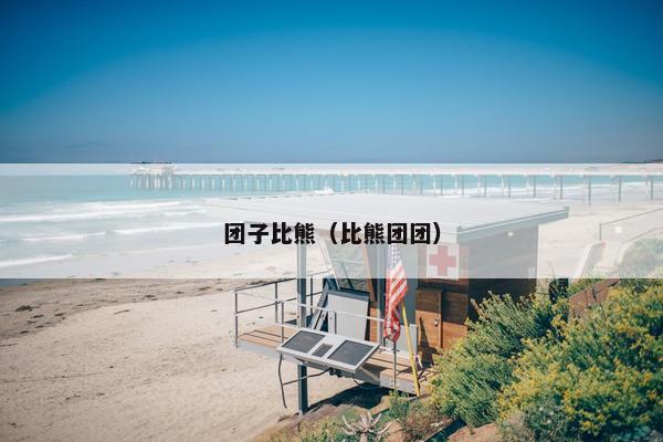 团子比熊（比熊团团）