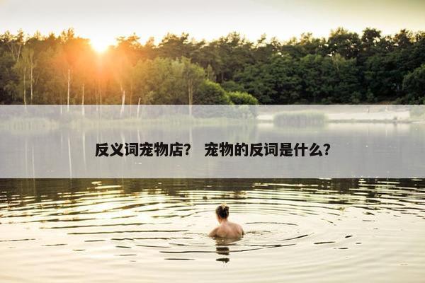 乖巧