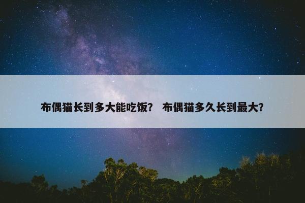 布偶猫长到多大能吃饭？ 布偶猫多久长到最大？