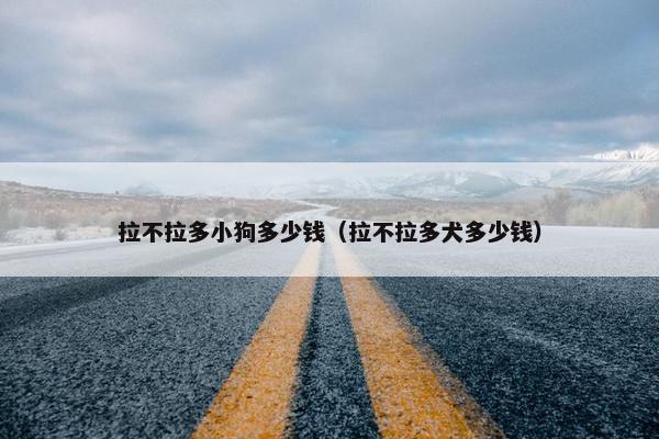 拉不拉多小狗多少钱（拉不拉多犬多少钱）