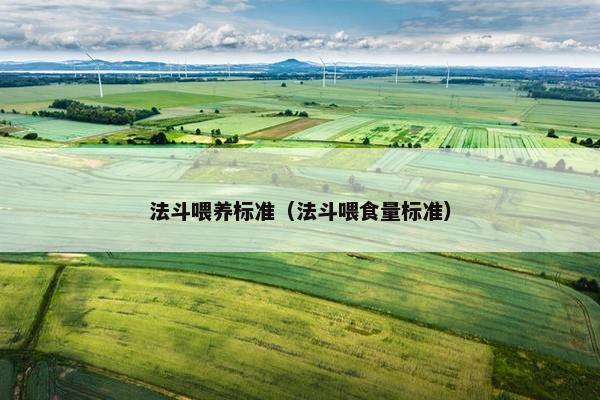 法斗喂养标准（法斗喂食量标准）