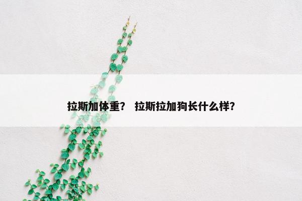 拉斯加体重？ 拉斯拉加狗长什么样？