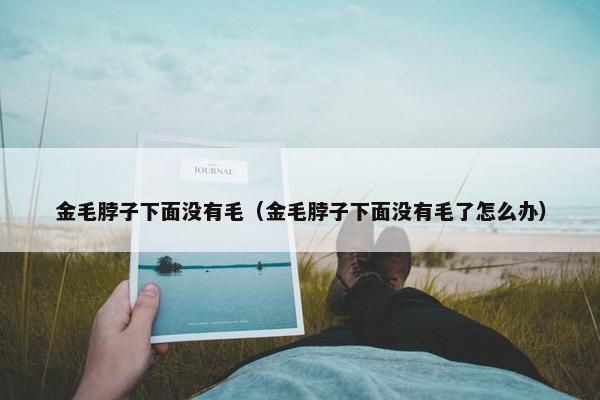 金毛脖子下面没有毛（金毛脖子下面没有毛了怎么办）
