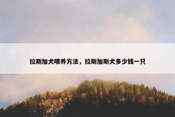拉斯加犬喂养方法，拉斯加斯犬多少钱一只