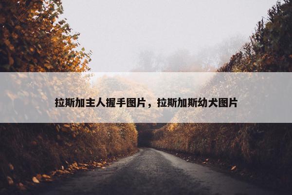 拉斯加主人握手图片，拉斯加斯幼犬图片