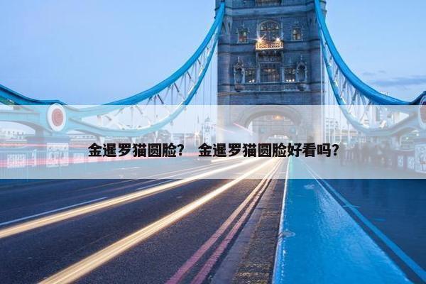 金暹罗猫圆脸？ 金暹罗猫圆脸好看吗？