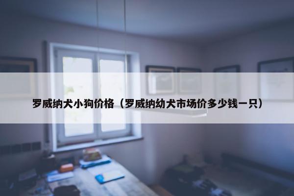 罗威纳犬小狗价格（罗威纳幼犬市场价多少钱一只）