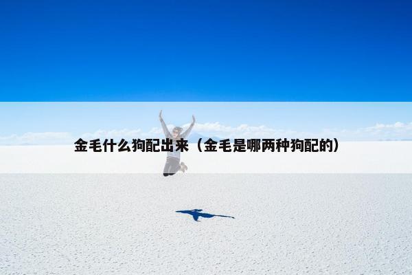 金毛什么狗配出来（金毛是哪两种狗配的）