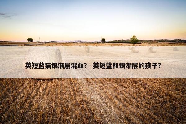 英短蓝猫银渐层混血？ 英短蓝和银渐层的孩子？