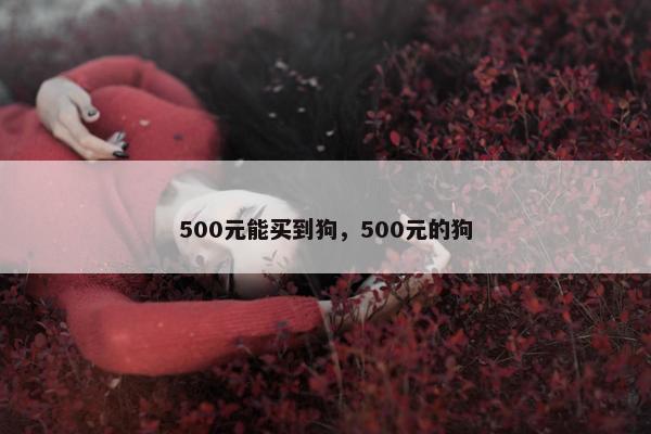 500元能买到狗，500元的狗